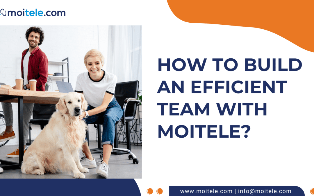 How to build an efficient team with Moitele?