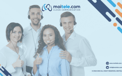 Moitele’s Dashboard Analytics: Maximize Efficiency